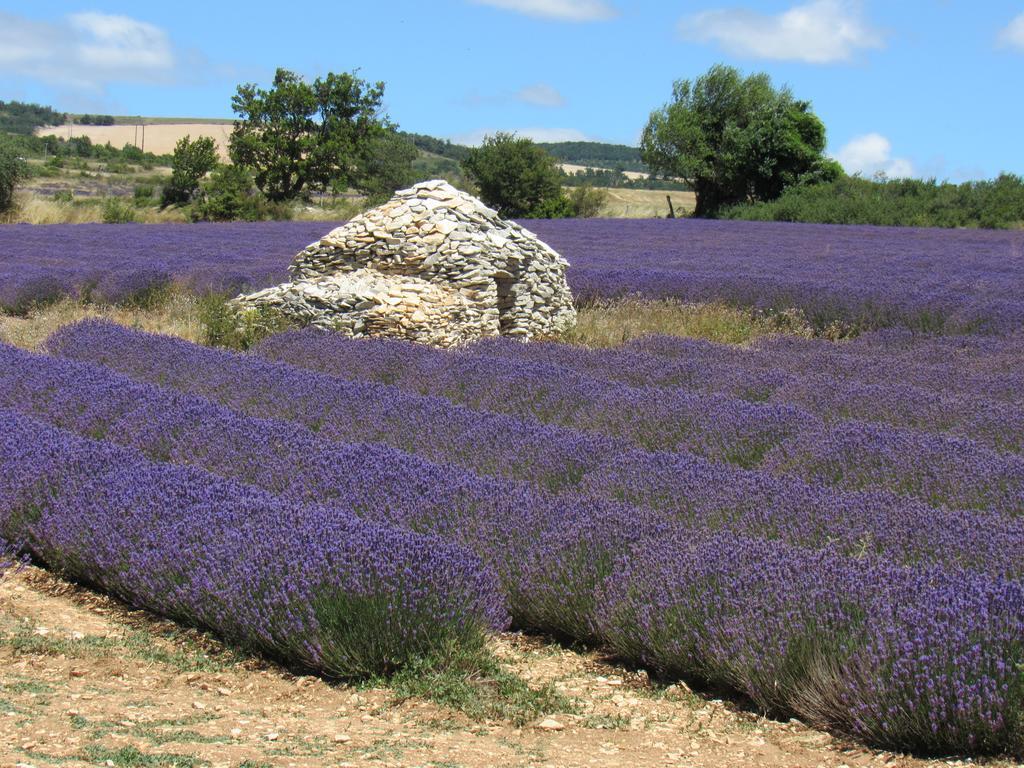 Residence De Gites La Sidoine Du Mont-Ventoux Crillon-le-Brave Ngoại thất bức ảnh